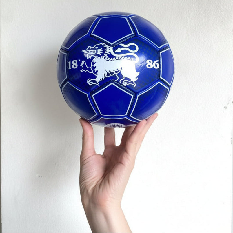 Soccer Ball S3 [HKFC] Junior