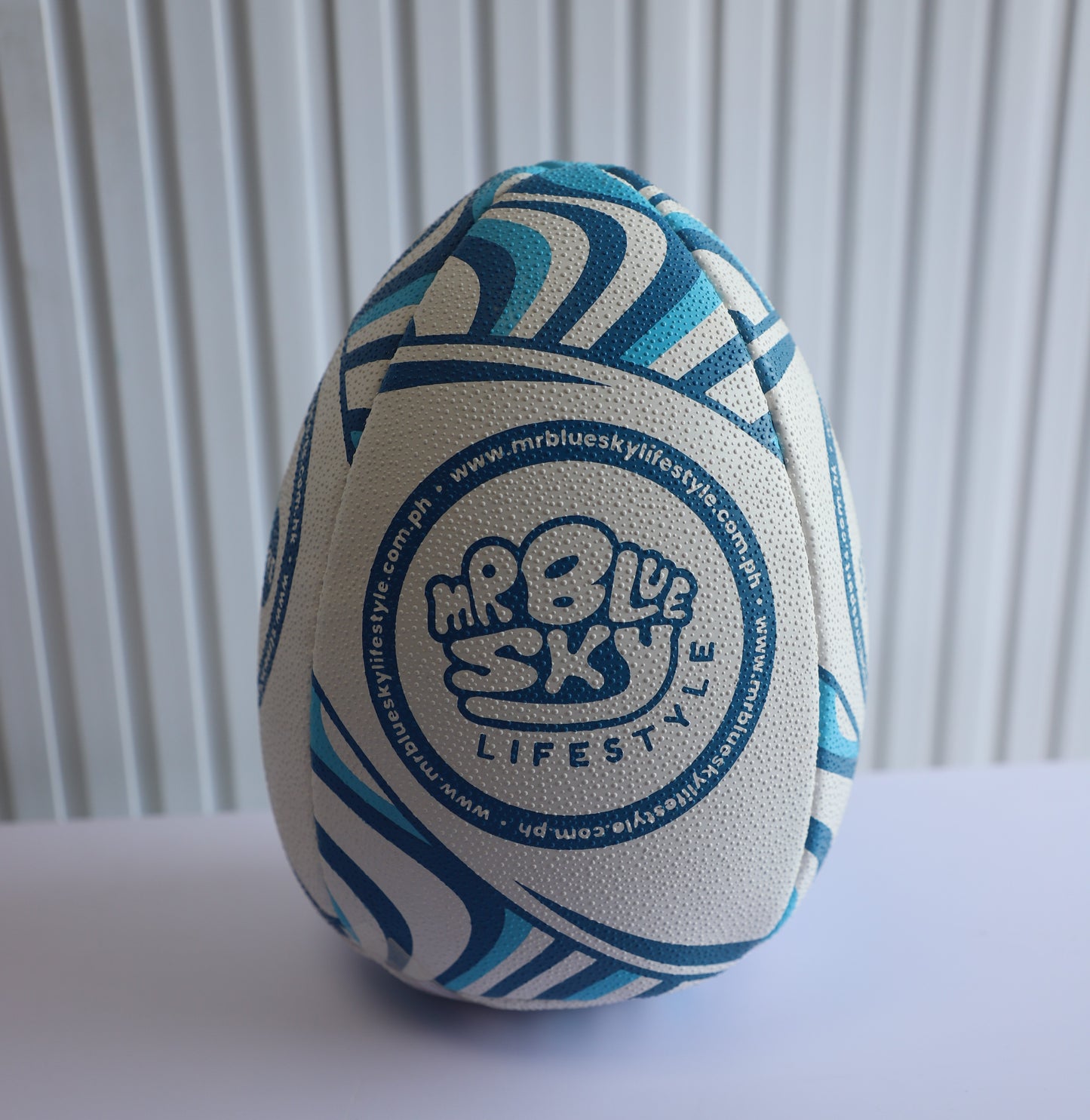 REBOUNDER Training Ball Rugby Pass & Catch (Size 5)
