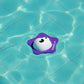SPD Sea Star Fish Flip Toy