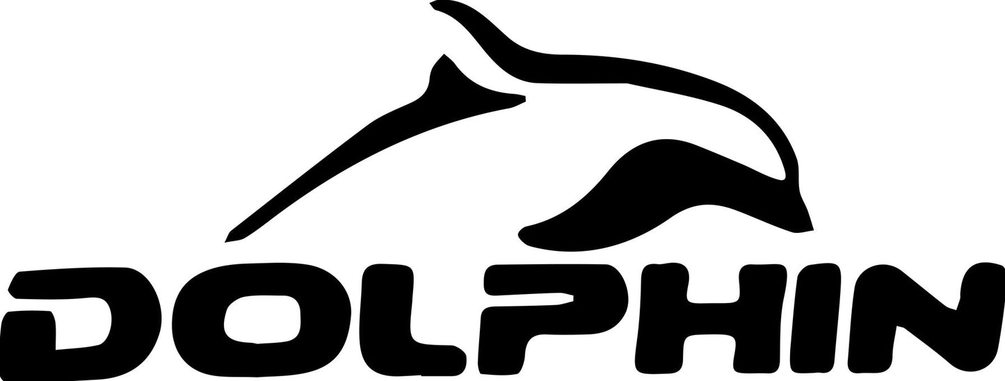 DOLPHIN Swimming Training Mirror Goggles (DP1535)